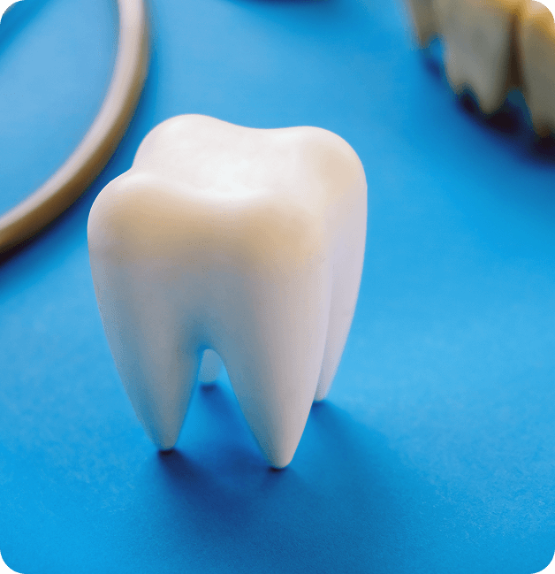Forever Crown zirconia crown